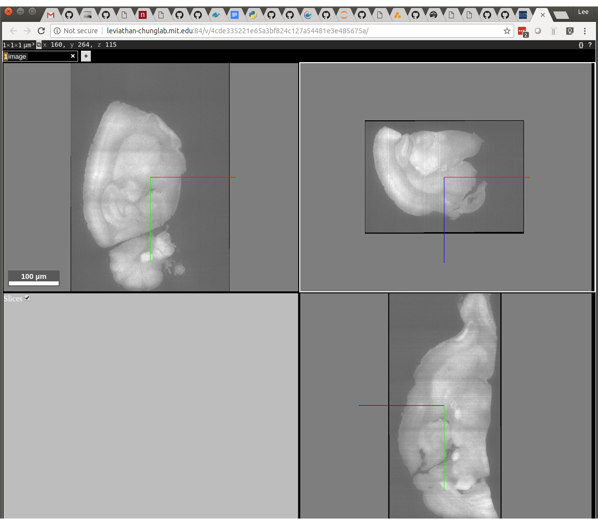 nuggt-display before rotation